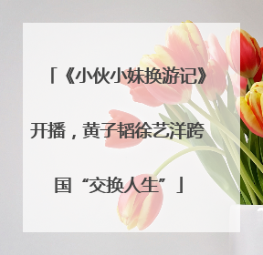 《小伙小妹换游记》开播，黄子韬徐艺洋跨国“交换人生”