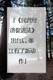 《民营经济促进法》出台后 张江有了新动作