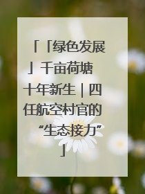 「绿色发展」千亩荷塘 十年新生｜四任航空村官的“生态接力”
