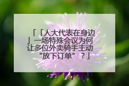 「人大代表在身边」一场特殊会议为何让多位外卖骑手主动“放下订单”？