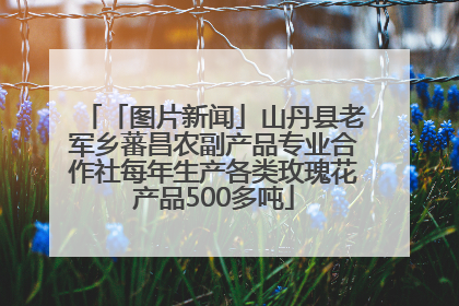 「图片新闻」山丹县老军乡蕃昌农副产品专业合作社每年生产各类玫瑰花产品500多吨