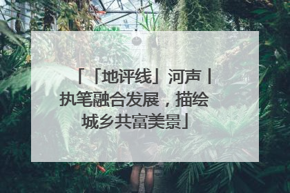 「地评线」河声丨执笔融合发展，描绘城乡共富美景