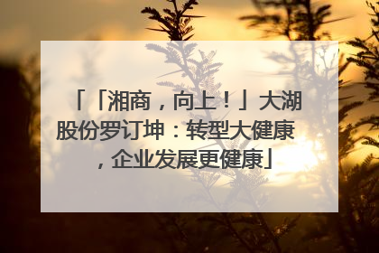 「湘商，向上！」大湖股份罗订坤：转型大健康，企业发展更健康