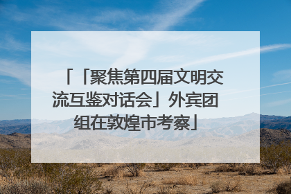 「聚焦第四届文明交流互鉴对话会」外宾团组在敦煌市考察