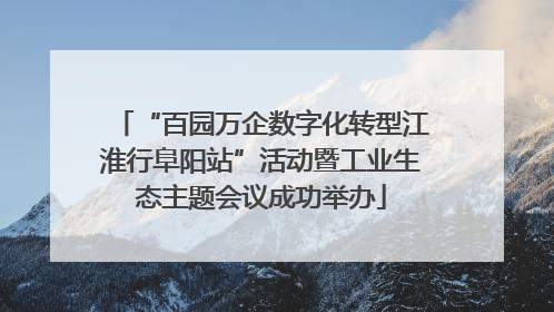 “百园万企数字化转型江淮行阜阳站”活动暨工业生态主题会议成功举办