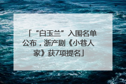 “白玉兰”入围名单公布，浙产剧《小巷人家》获7项提名
