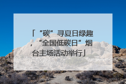 “碳”寻夏日绿趣，“全国低碳日”烟台主场活动举行