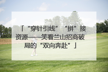 “穿针引线”“拼”接资源——笑看兰山招商破局的“双向奔赴”