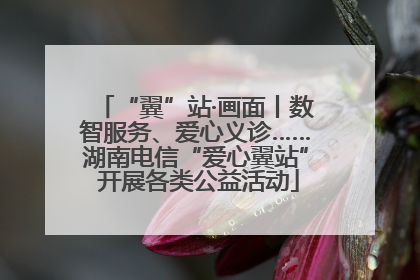 “翼”站·画面丨数智服务、爱心义诊……湖南电信“爱心翼站” 开展各类公益活动