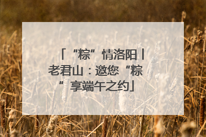 “粽”情洛阳丨老君山：邀您“粽”享端午之约