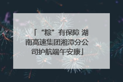 “粽”有保障 湖南高速集团湘潭分公司护航端午安康
