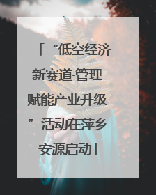 “低空经济新赛道·管理赋能产业升级”活动在萍乡安源启动