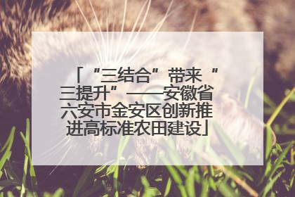 “三结合”带来“三提升”——安徽省六安市金安区创新推进高标准农田建设