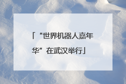 “世界机器人嘉年华”在武汉举行