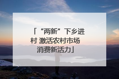 “两新”下乡进村 激活农村市场消费新活力
