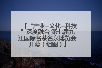 “产业+文化+科技”深度融合 第七届九江国际名茶名泉博览会开幕（组图）