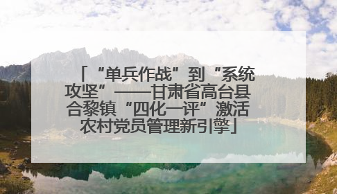 “单兵作战”到“系统攻坚”——甘肃省高台县合黎镇“四化一评”激活农村党员管理新引擎
