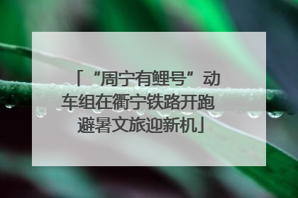 “周宁有鲤号”动车组在衢宁铁路开跑 避暑文旅迎新机