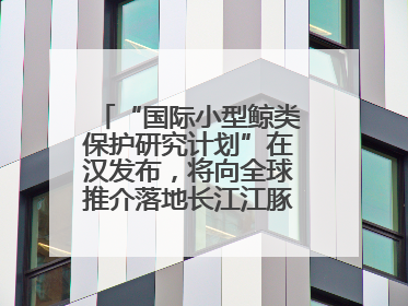 “国际小型鲸类保护研究计划”在汉发布，将向全球推介落地长江江豚保护经验