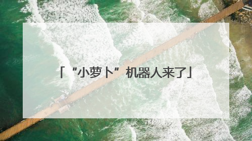 “小萝卜”机器人来了