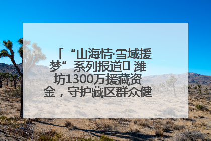 “山海情·雪域援梦”系列报道⑪ 潍坊1300万援藏资金，守护藏区群众健康“最后一公里”