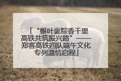 “槲叶裹粽香千里 高铁共筑振兴路”——郑客高铁四队端午文化专列温情启程