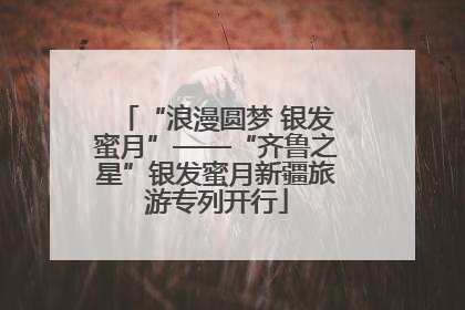 “浪漫圆梦 银发蜜月”——“齐鲁之星”银发蜜月新疆旅游专列开行