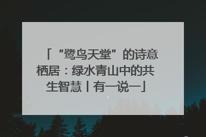“鹭鸟天堂”的诗意栖居：绿水青山中的共生智慧丨有一说一