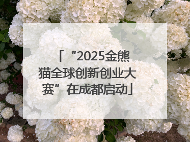 “2025金熊猫全球创新创业大赛”在成都启动