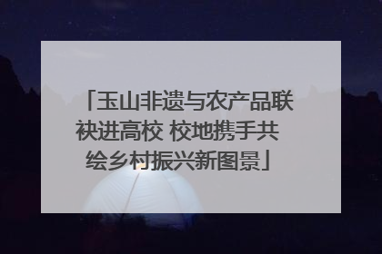 玉山非遗与农产品联袂进高校 校地携手共绘乡村振兴新图景