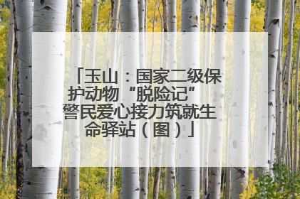 玉山：国家二级保护动物“脱险记” 警民爱心接力筑就生命驿站（图）