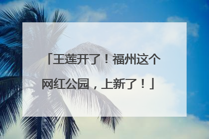 王莲开了！福州这个网红公园，上新了！