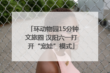 环动物园15分钟文旅圈 汉阳六一打开“宠娃”模式