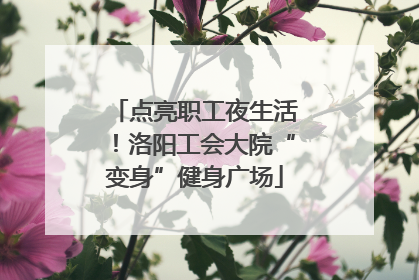 点亮职工夜生活！洛阳工会大院“变身”健身广场