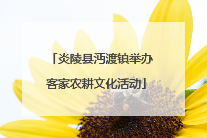 炎陵县沔渡镇举办客家农耕文化活动