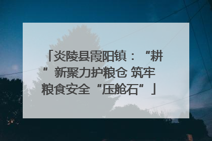 炎陵县霞阳镇：“耕”新聚力护粮仓 筑牢粮食安全“压舱石”