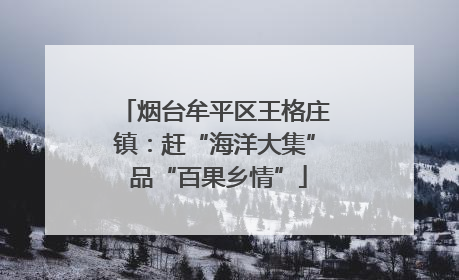 烟台牟平区王格庄镇：赶“海洋大集” 品“百果乡情”