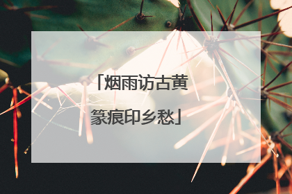 烟雨访古黄 篆痕印乡愁