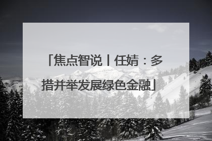 焦点智说丨任婧：多措并举发展绿色金融