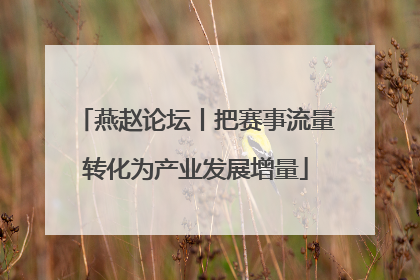 燕赵论坛丨把赛事流量转化为产业发展增量