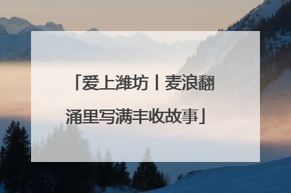 爱上潍坊丨麦浪翻涌里写满丰收故事