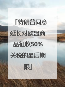 特朗普同意延长对欧盟商品征收50%关税的最后期限