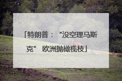 特朗普：“没空理马斯克” 欧洲抛橄榄枝