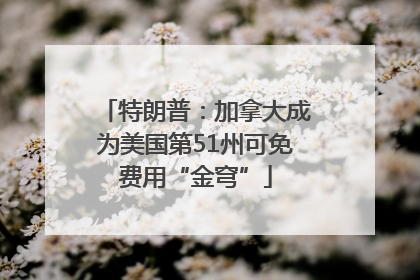 特朗普：加拿大成为美国第51州可免费用“金穹”