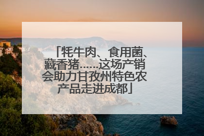 牦牛肉、食用菌、藏香猪……这场产销会助力甘孜州特色农产品走进成都