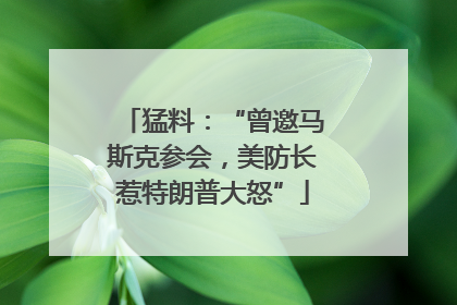 猛料：“曾邀马斯克参会，美防长惹特朗普大怒”