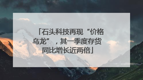 石头科技再现“价格乌龙”，其一季度存货同比增长近两倍