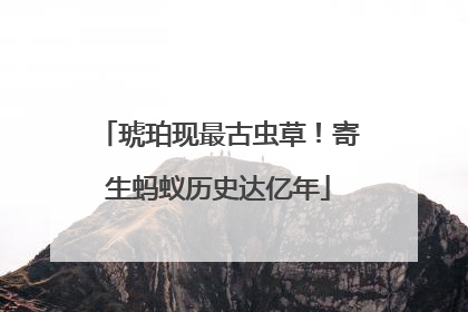 琥珀现最古虫草！寄生蚂蚁历史达亿年