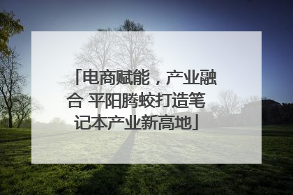 电商赋能，产业融合 平阳腾蛟打造笔记本产业新高地