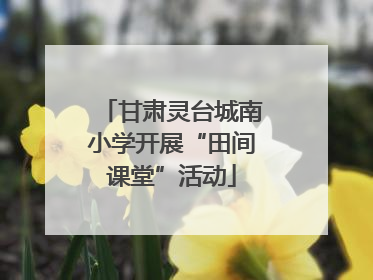 甘肃灵台城南小学开展“田间课堂”活动